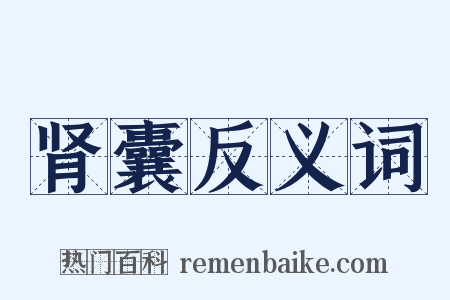 肾囊反义词是什么意思的图片